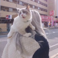 說寒煙
